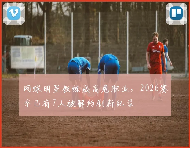 网球明星教练成高危职业，2026赛季已有7人被解约刷新纪录